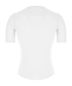 DELTA - BASELAYER